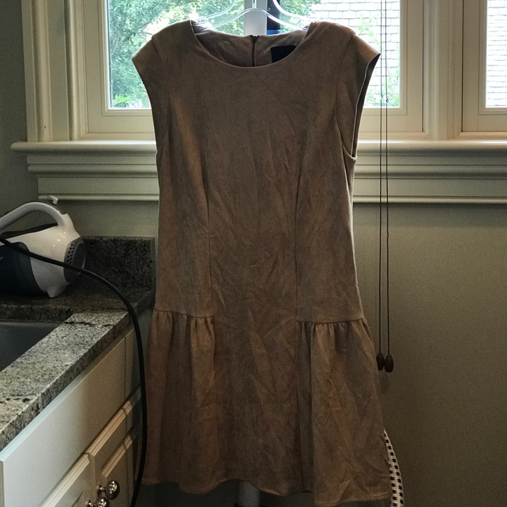 Greylin mini suede dress