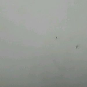 Meet your Posher, Deshauna