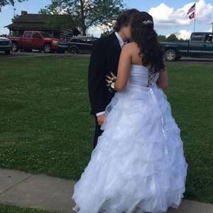 Meet your Posher, Harley