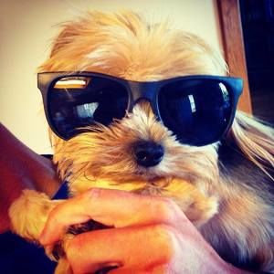 Meet your Posher, Kylee