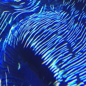 Meet your Posher, Ada