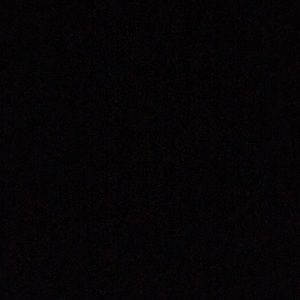 Meet your Posher, Zane