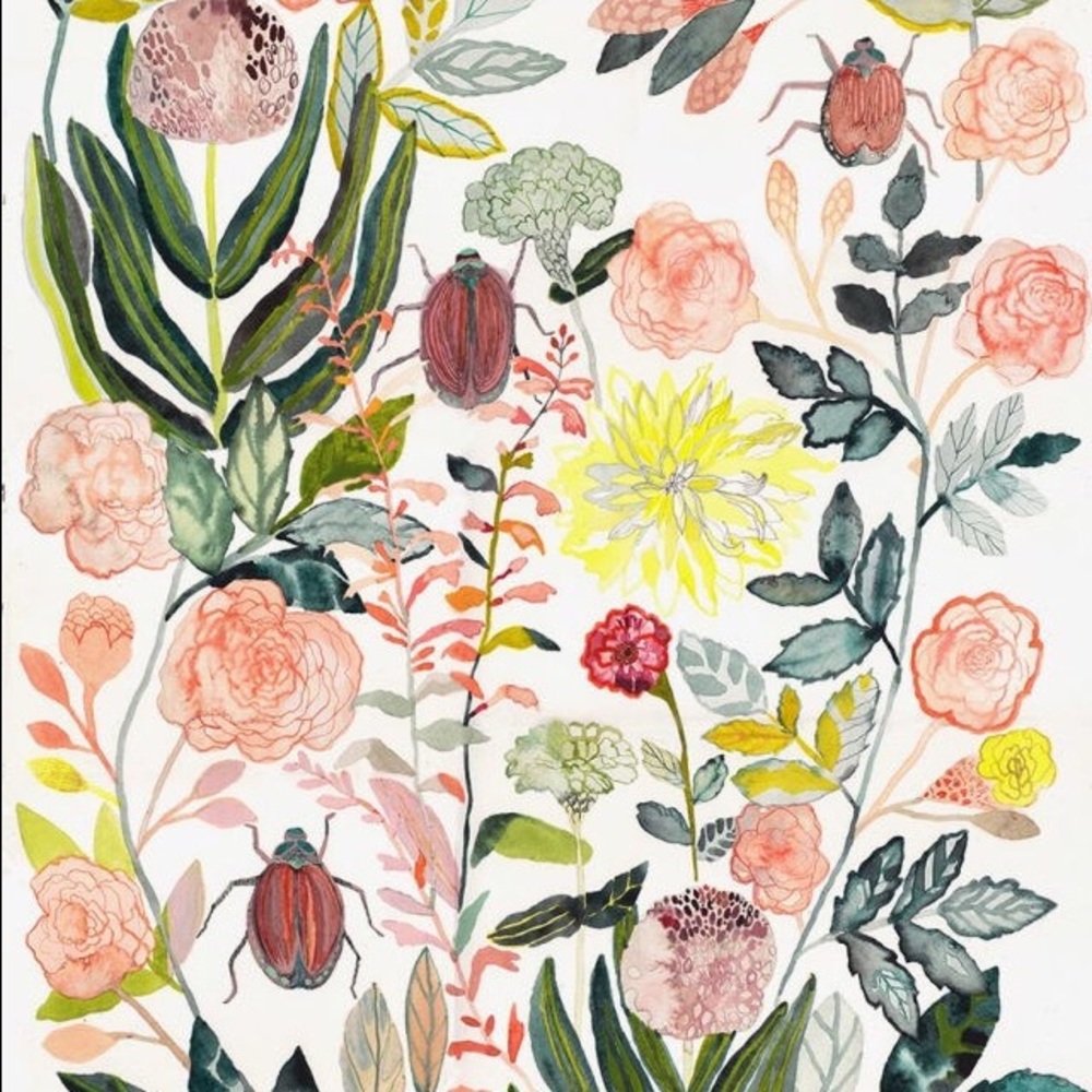 Meet your Posher, Anne