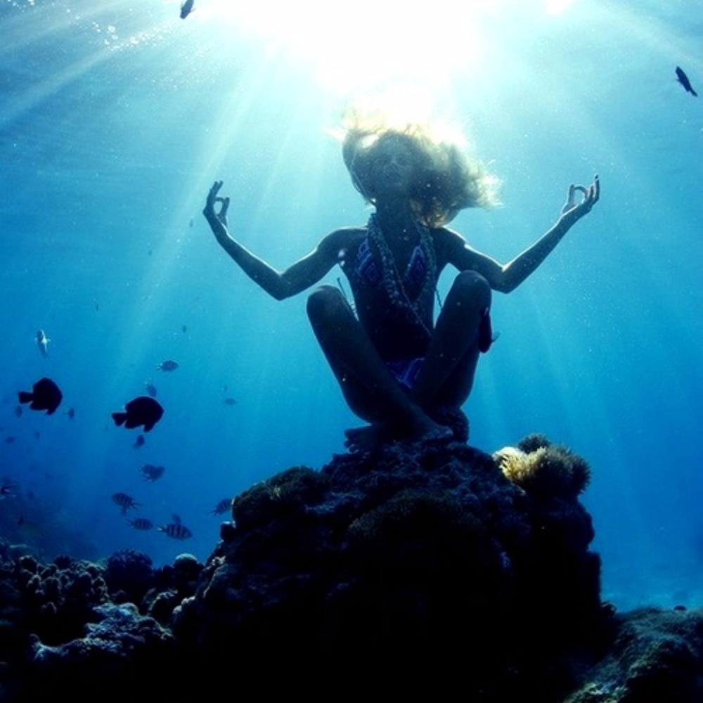 Meet your Posher, LaKayla