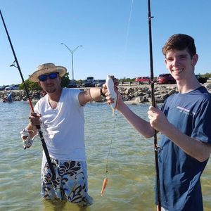 Meet your Posher, Nathaniel