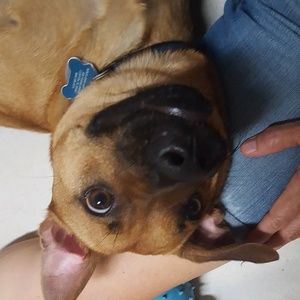 Meet your Posher, Susannah