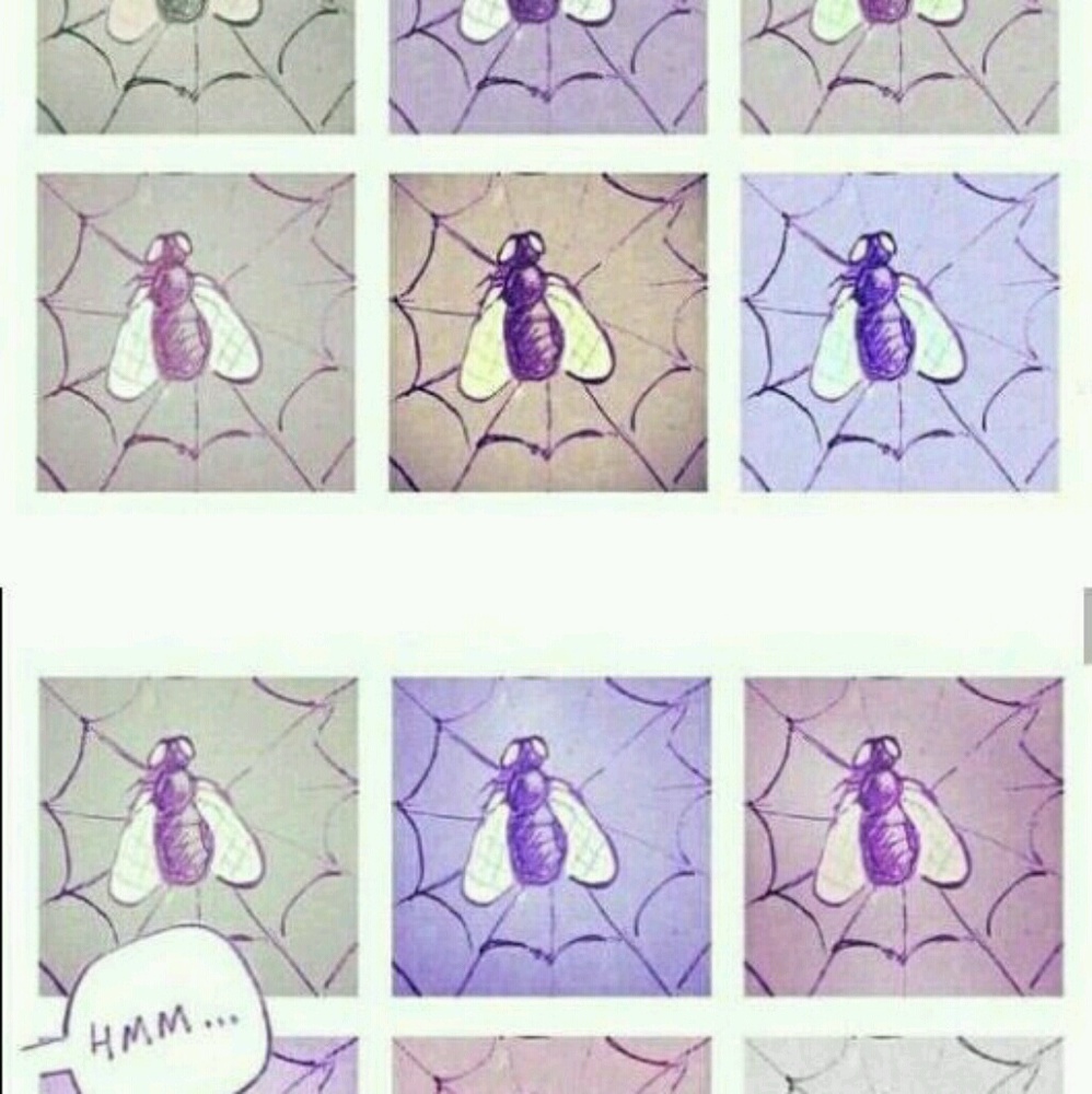 Meet your Posher, Tony