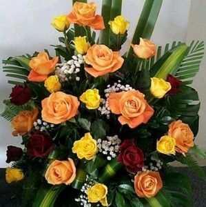 Meet your Posher, Brenda