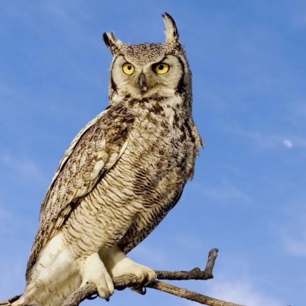 Meet your Posher, Kay