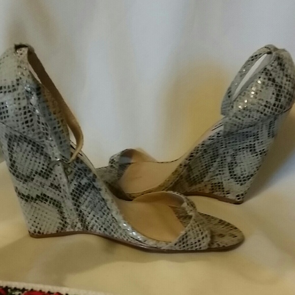 Steve Madden  shoes - Picture 6 of 8