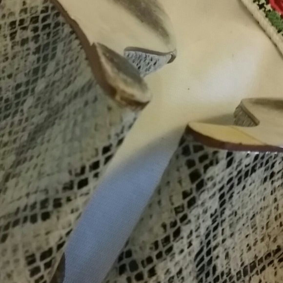 Steve Madden  shoes - Picture 8 of 8