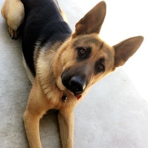 Meet your Posher, Ruby