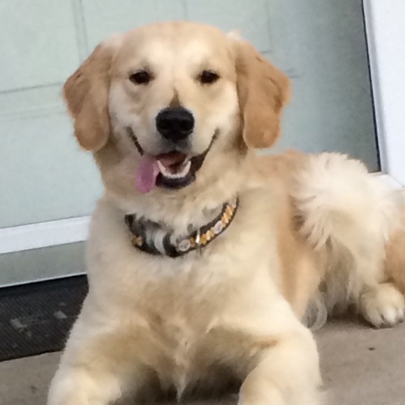 Meet your Posher, Chris - Picture 4 of 5