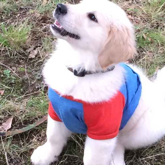 Meet your Posher, Chris - Picture 5 of 5