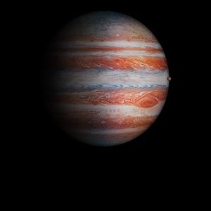 Meet your Posher, Tim