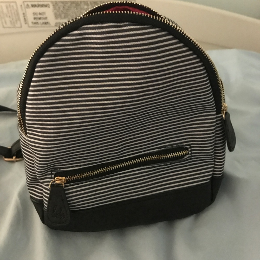 Camera Carrying Backpack