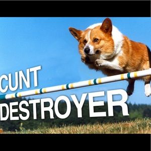 Meet your Posher, Joe