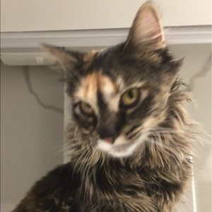 Meet your Posher, Julia