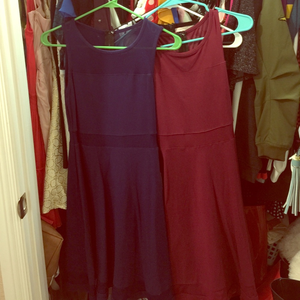 Express Flare Dress with Mesh Detail