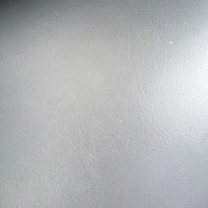 Meet your Posher, Dusty