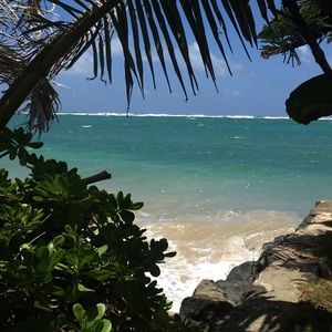 Meet your Posher, Helene