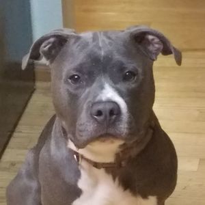 Meet your Posher, Brad