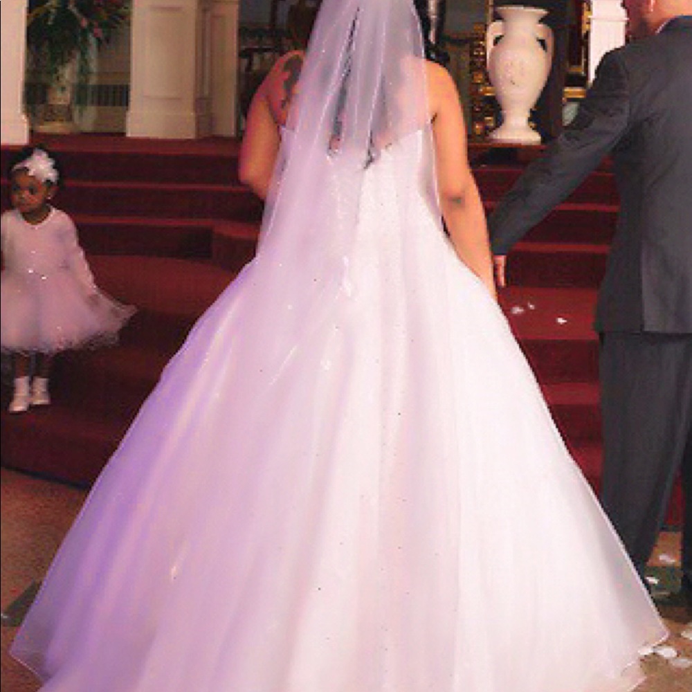 Corset  ballroom wedding dress with veil
