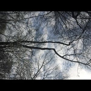 Meet your Posher, Lenny