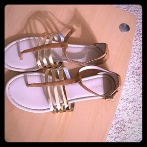 Calvin Klein gold sabia gladiator