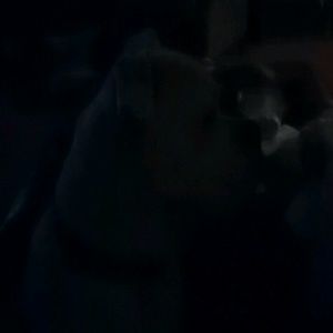 Meet your Posher, Becky