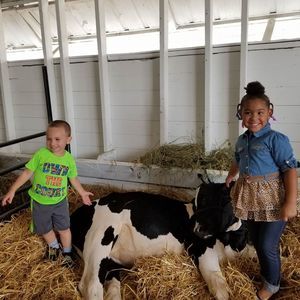 Meet your Posher, Lily