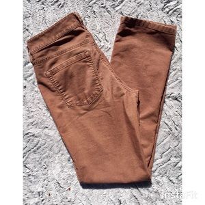 Ann Taylor LOFT Cinnamon Modern Straight Corduroys