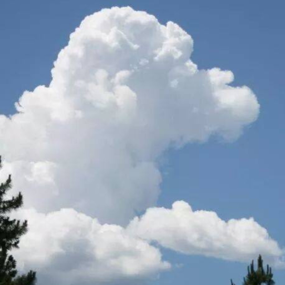 Meet your Posher, Lynn