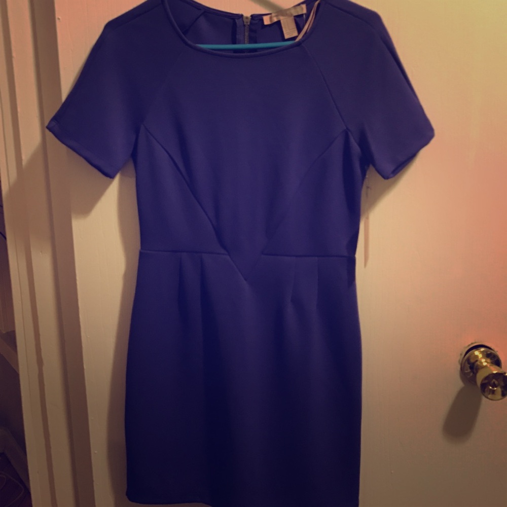 Purple Dress