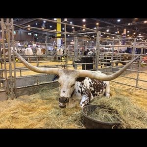 Meet your Posher, Sergio