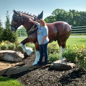 Meet your Posher, Buffy