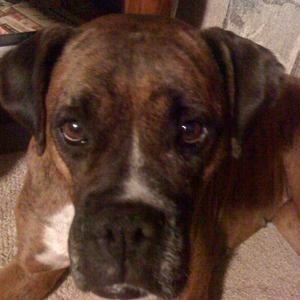 Meet your Posher, Amanda graves