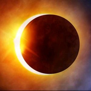 Meet your Posher, Ericka