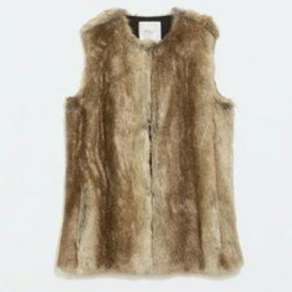 Zara Trafuluc Faux Fur vest