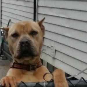 Meet your Posher, Jeffrey