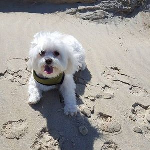 Meet your Posher, Nichole