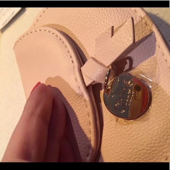 Chloe Pouch And A Miniature - Picture 2 of 5