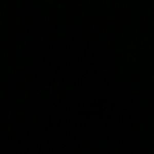 Meet your Posher, Leola