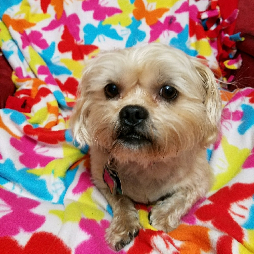 Meet your Posher, Rain