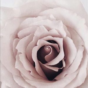 Meet your Posher, Minelly