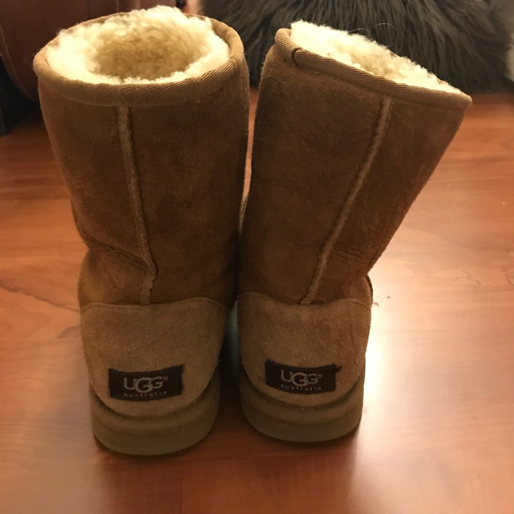 Classic II Short Chestnut UGG's