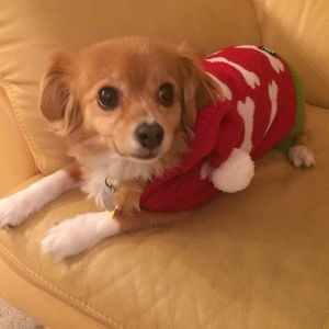 Meet your Posher, Mandy