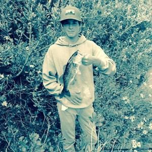 Meet your Posher, Trey