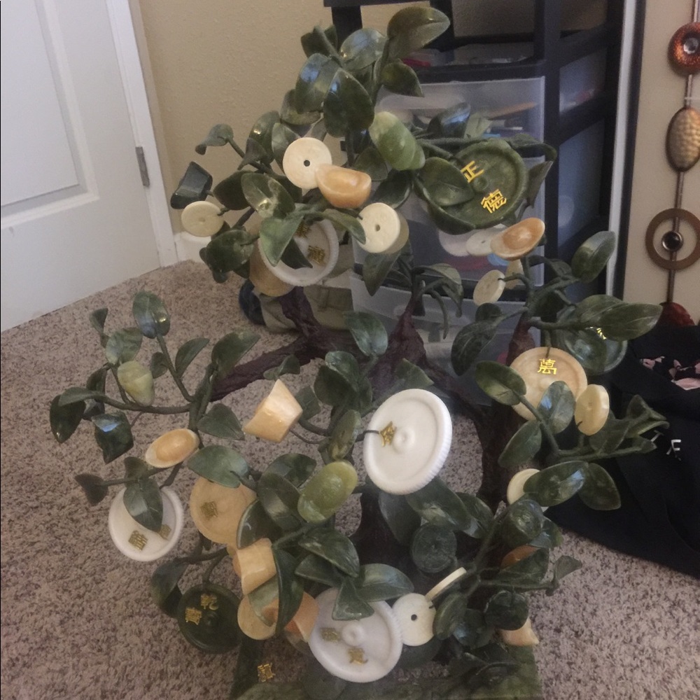 Jade money tree if interested text me 3039949620