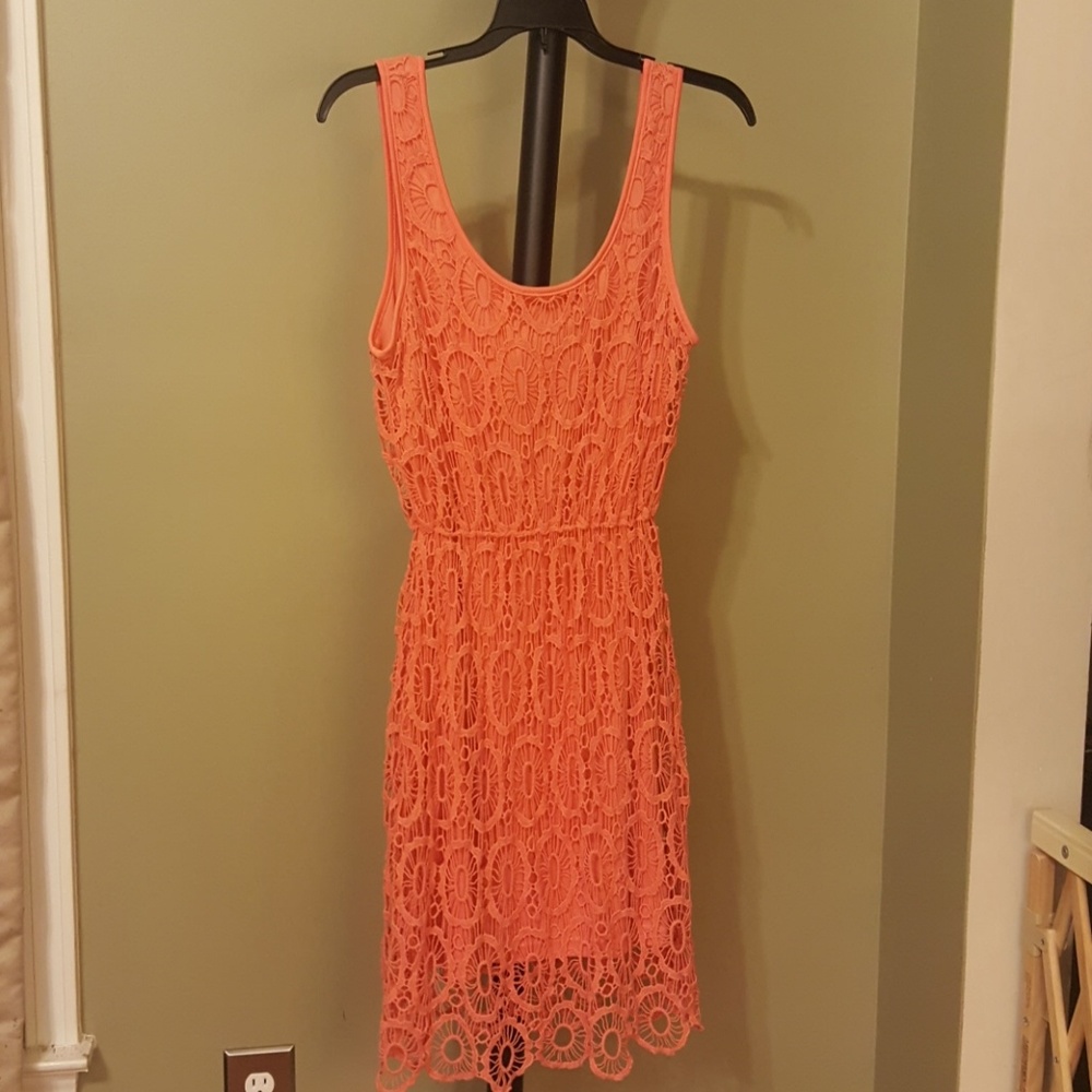 Coral Lauren Conrad Lace Dress